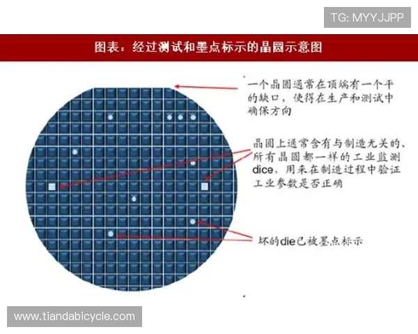 武汉飞盘队运营策略深度分析与成功经验分享