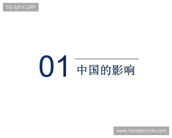深度对话李丽的排球人生与梦想追逐的心路历程